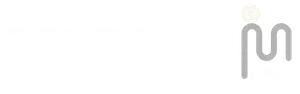 מגה ריידר